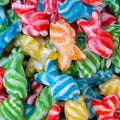 100g Swirly Fish