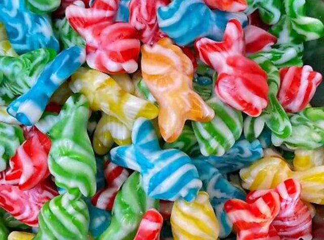100g Swirly Fish