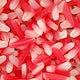 100g Dracula Teeth