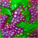 100g Bunch Of Grapes