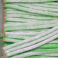 50g Watermelon Rayaditos