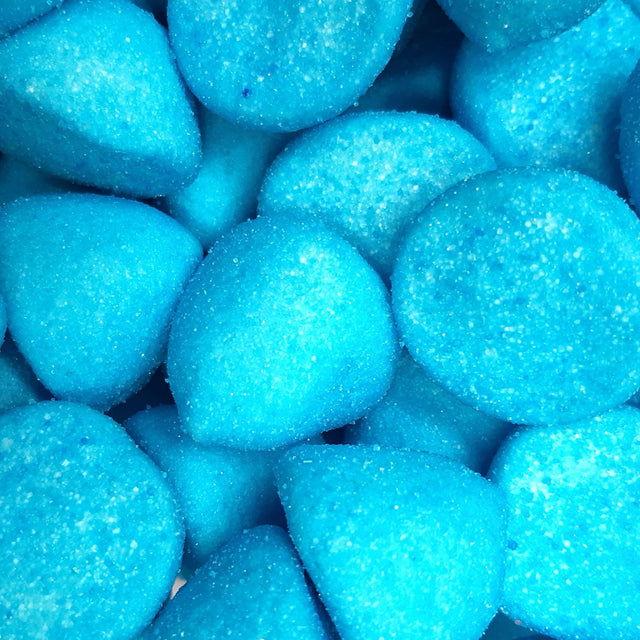 50g Blue Paintballs